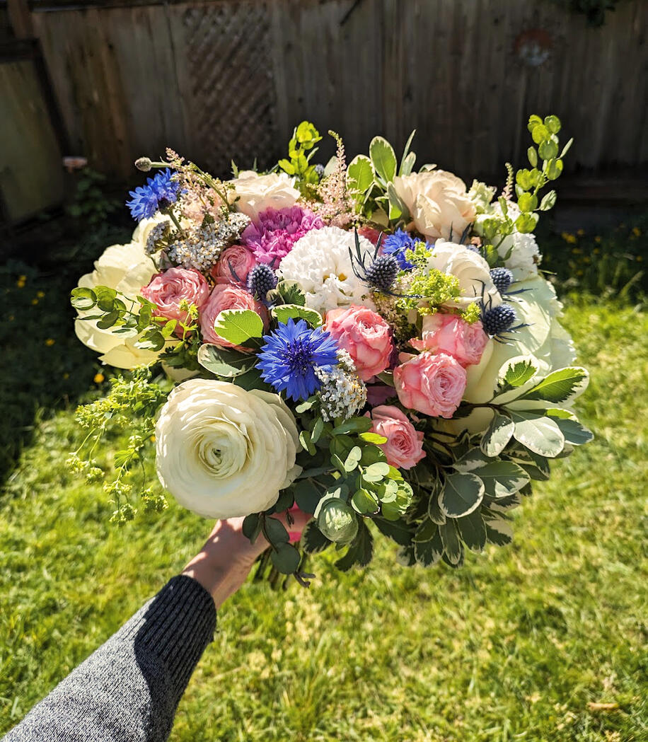 Untitled Untitled